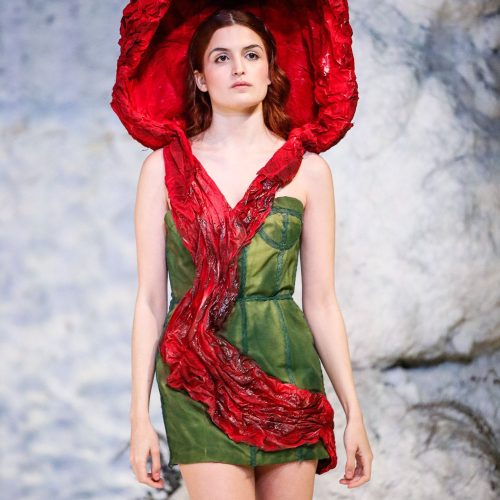 Grupo A - Colección Sakura Grupo A 001